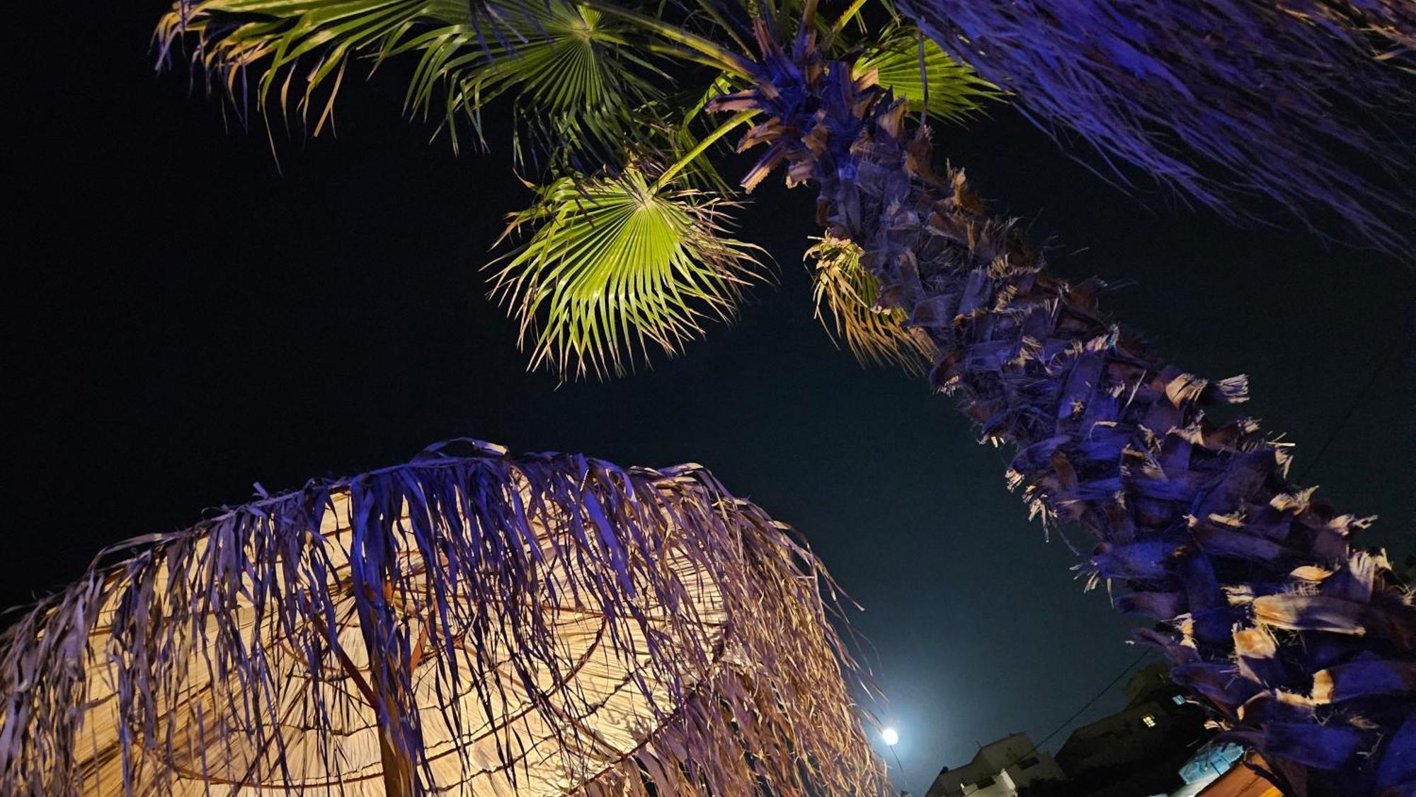 Elli Tropical Suites Mykonos Town Exterior photo